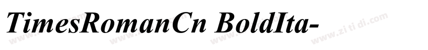 TimesRomanCn BoldIta字体转换